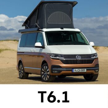 T6.1