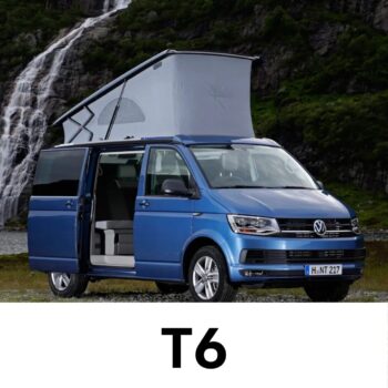 T6